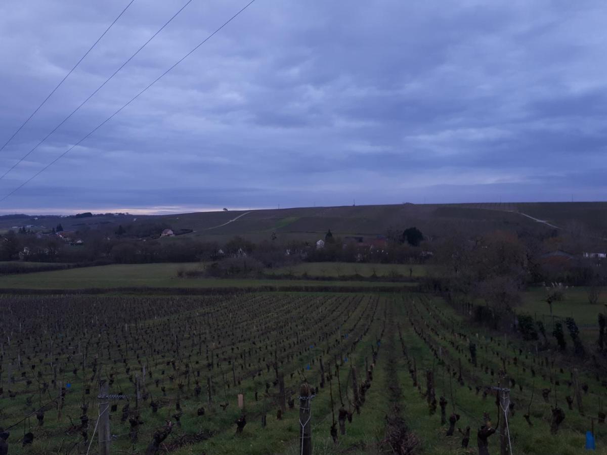 Bienvenue Chez Les Gibbs! Pensionat Sury-en-Vaux Exteriör bild